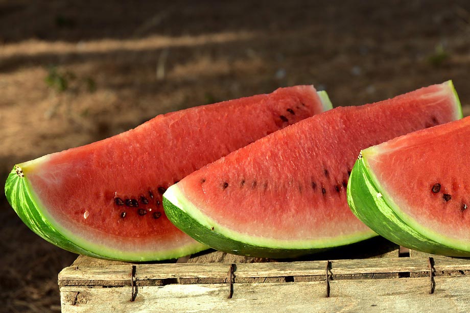 watermelon slices